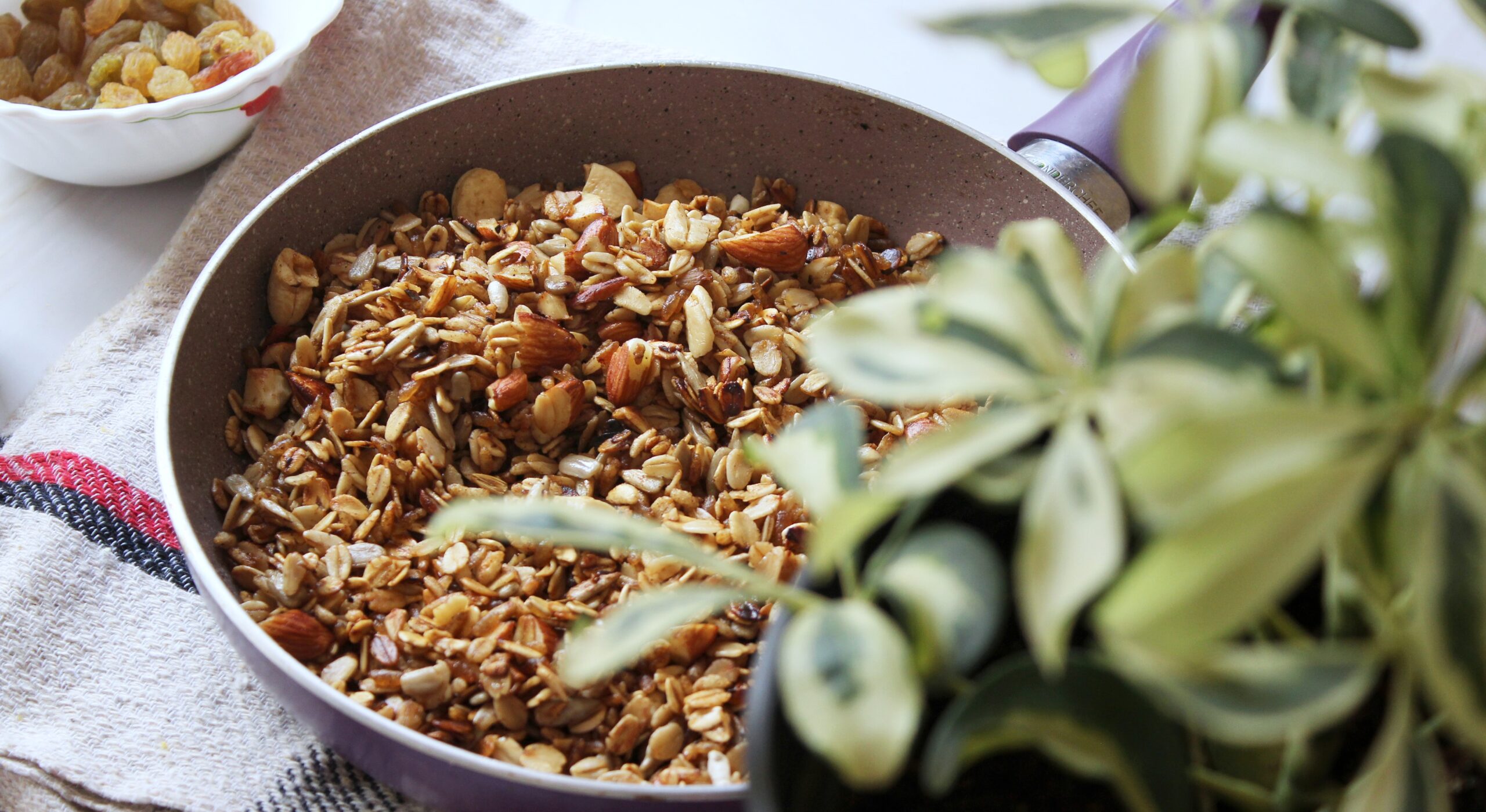 Read more about the article Stove-Top Granola